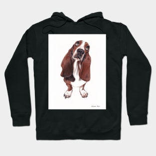 Beautiful Basset Hound Looking for a Forever Home Hoodie